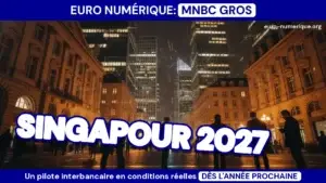 pilote mnbc singapour