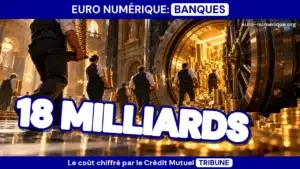 euro numérique critiques