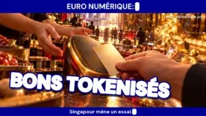 mnbc de gros